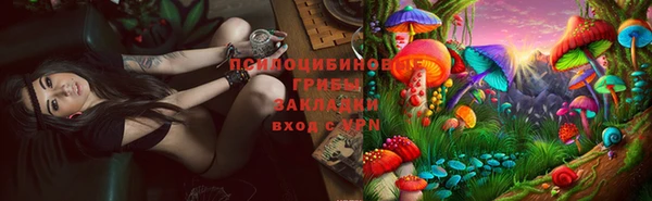 индика Медногорск