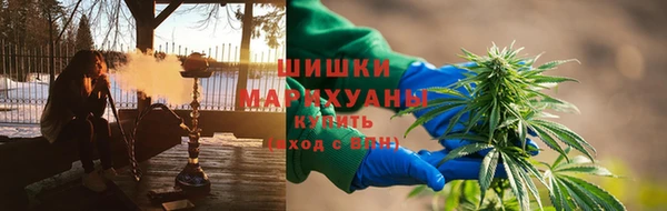 сатива Магадан