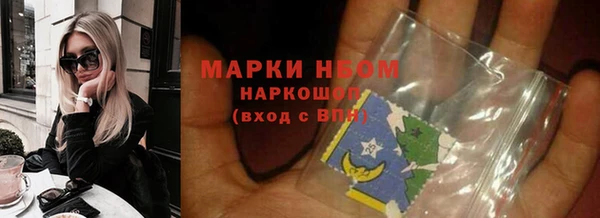 индика Медногорск