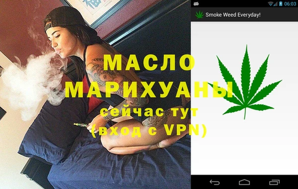 индика Медногорск