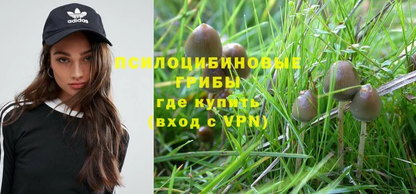 прущая мука Магас