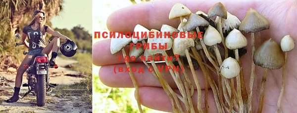 ешки Мегион