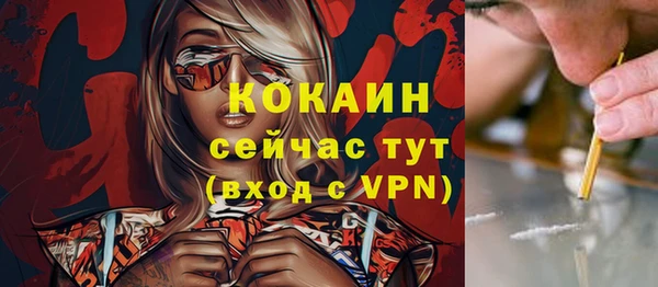 индика Медногорск