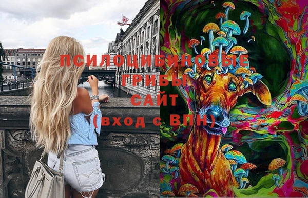 сатива Магадан