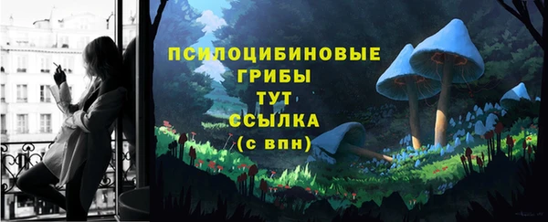 a pvp Майский