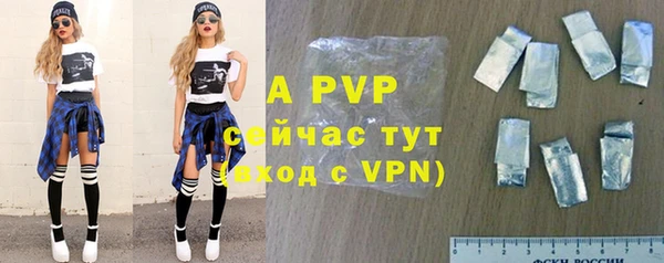индика Медногорск